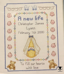 Birth Celebration (Boy)