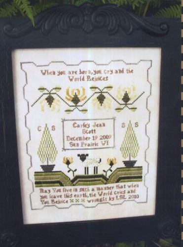 Birth Sampler
