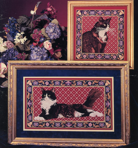 Black And White Cats