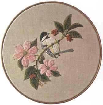 Black-capped Chickadee
