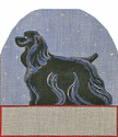 Black Spaniel