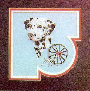 Dalmation