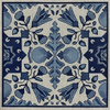 Blue & White Star