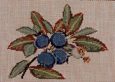Blueberries