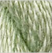 Bog - Thirteen Silk 3140