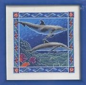 Bottle-nosed Dolphins