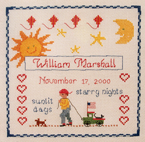 Boy's Birth Sampler