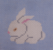 Bunny Kit