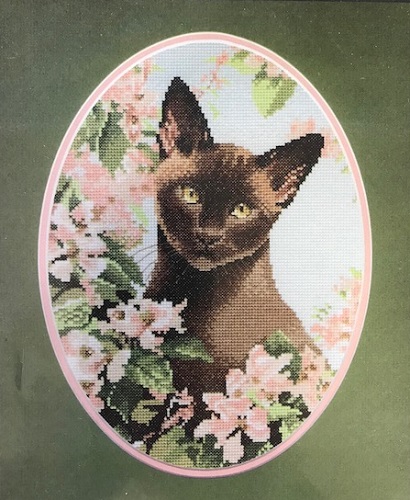 Burmese Cat