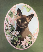 Burmese Cat