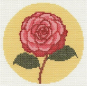 Camellia