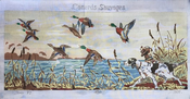 Canards Sauvages