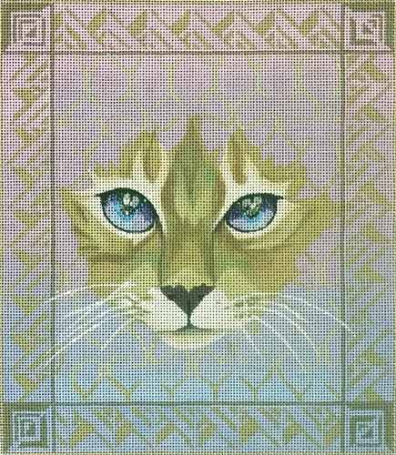 Cat Face on Shaded Background