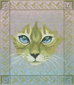 Cat Face on Shaded Background