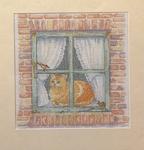 Cat In Window
