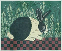 Checkerboard Bunny