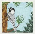 Chickadee