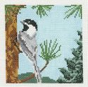 Chickadee