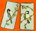 Chickadees EGC