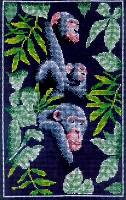 Chimpanzee Family
