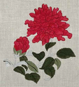 China Mums