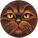 Chocolate Persian