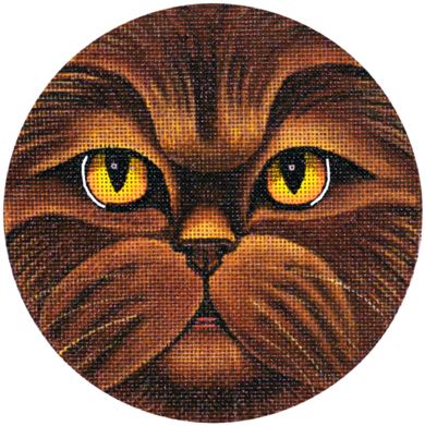 Chocolate Persian