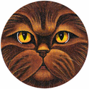 Chocolate Persian