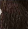 Chocolate - Thirteen Silk 3113