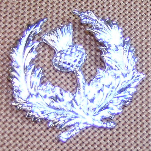 Circled Thistle Brooch