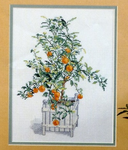 Clementine