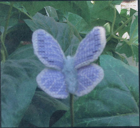 Common Blue Butterfly