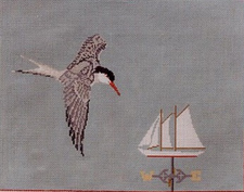 Common Tern