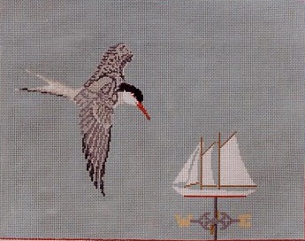 Common Tern