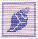 Conch Shell