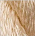 Conch - Thirteen Silk 3136