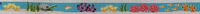 Coral Reef Belt