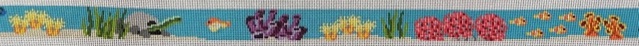 Coral Reef Belt