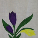 Crocus Sampler