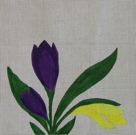 Crocus Sampler