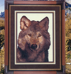 Cry Of The Wild
