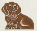 Dachshund