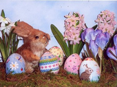 Daisies and Bugs 3D Egg