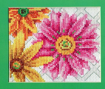 Dazzling Daisies