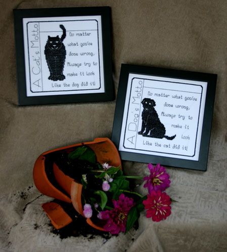 Dog and Cat Motto