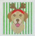 Dog w/ Reindeer Antlers