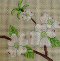 Dogwood