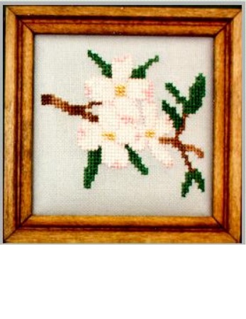 Dogwood