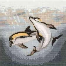 Dolphin Duo