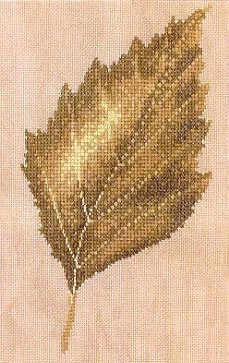Downy Birch